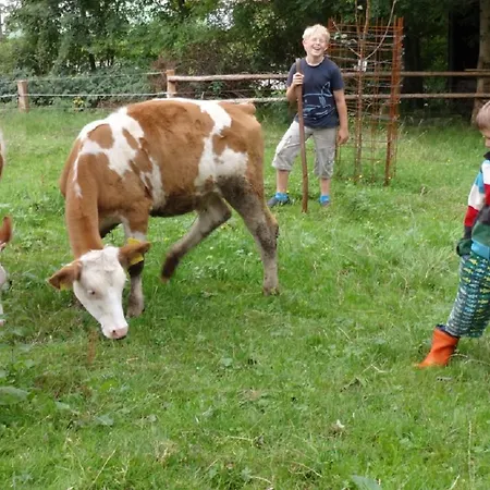 Urlaub Auf Dem Haberlhof Bauernhof *
