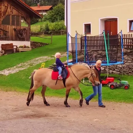 Bauernhof Urlaub Auf Dem Haberlhof Lohberg