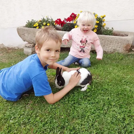 Urlaub Auf Dem Haberlhof Bauernhof *
